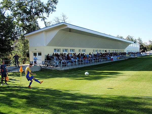 stadium photo