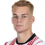 P. Lienhart